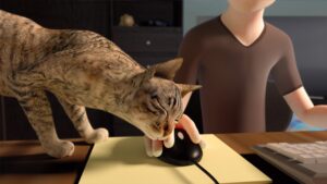 Lap Cat Short Animation