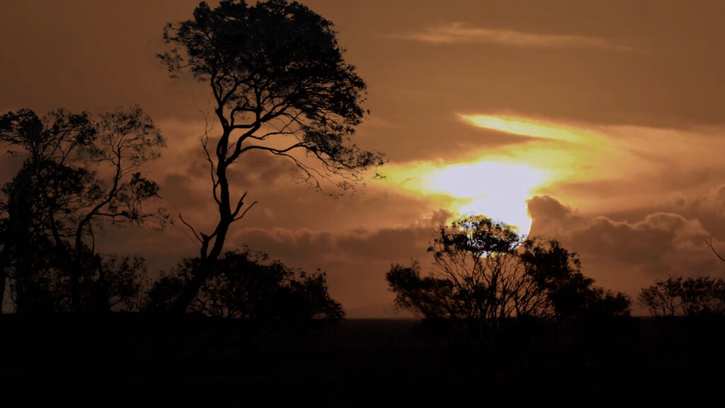 Ghosts of the Outback Short Documentary Film