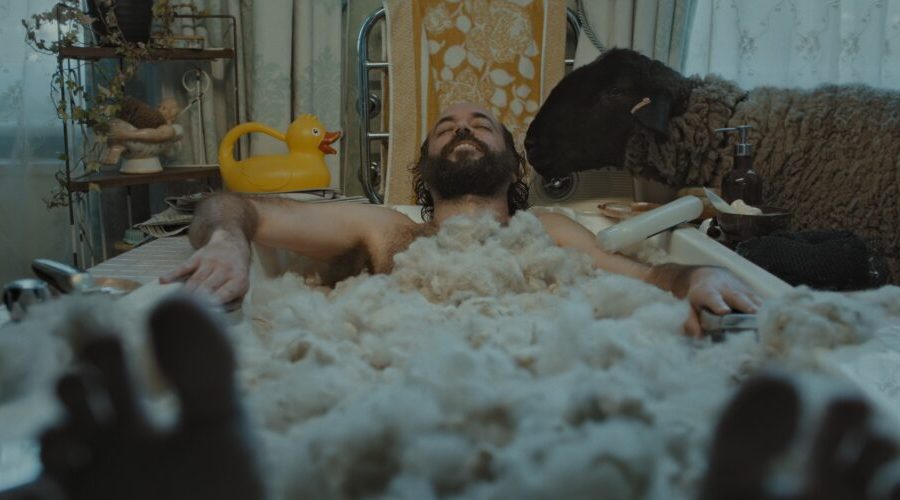 Herd Immunity Short Film e1659087714420
